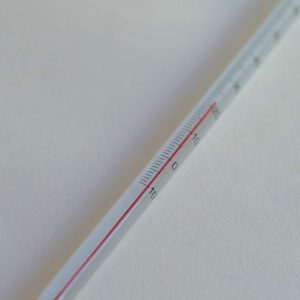 Tea Thermometer - Image 2